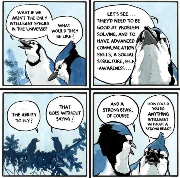 Cartoon